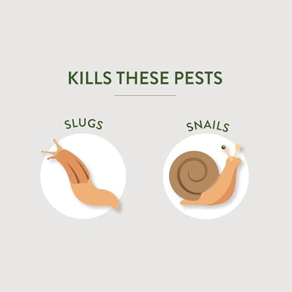 Garden Safe Brand Slug & Snail Bait Granules, 2 Pounds, Slugs & Snails Begin to Die Within 3 to 6 Days, Can Be Used Around Pets & Wildlife, For Lawns, Gardens & Greenhouses, 1 Pack