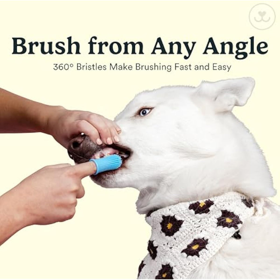 Jasper 2-pack 360-degree dog toothbrush kit for small and large pets, blue