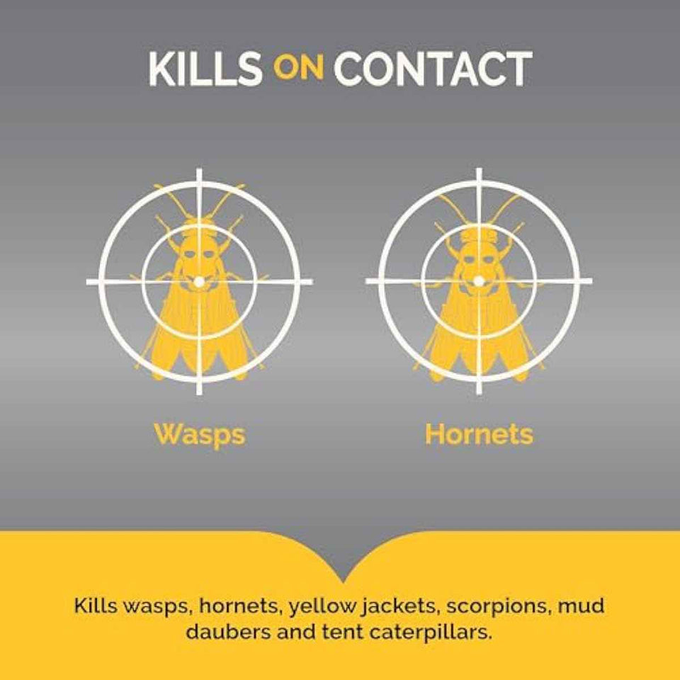 Hot Shot 14-Ounce Wasp And Hornet Killer Aerosol 2-Pack with Up to 27-Foot Jet Spray