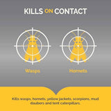 Hot Shot Wasp And Hornet Killer Aerosol, Up to 27-Foot Jet Spray, 14 Ounces, 2 Pack