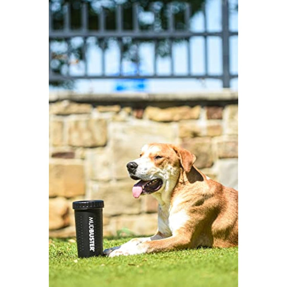 Dexas MudBuster Portable Dog Paw Washer in Large, Matte Black, Special Edition for Easy Cleaning