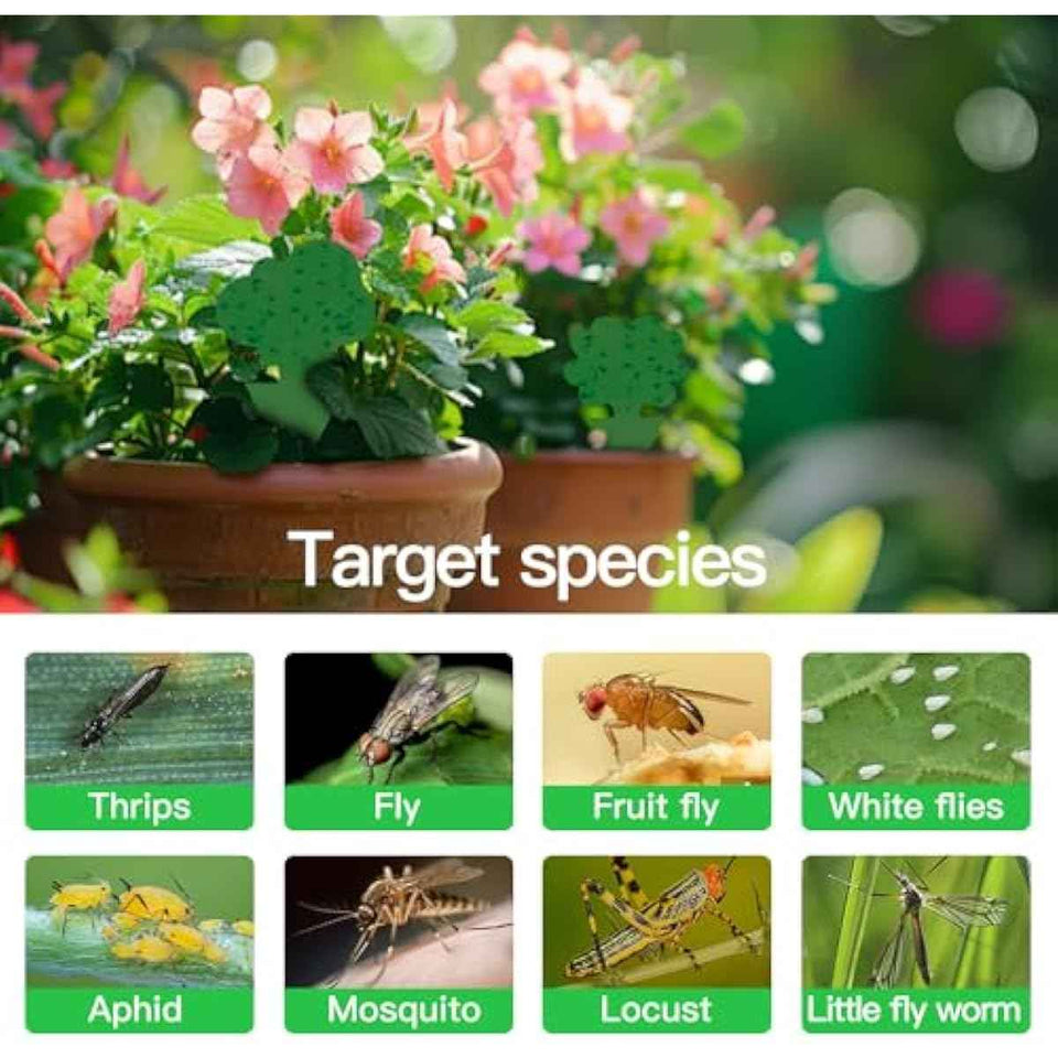 58 Pack Flying Insect Traps for Plants – Green Sticky Traps for Fungus Gnats, Flies & Flying Bugs, Indoor Outdoor Flying Bug Catcher for Pots, Garden & Kitchen, Non-Toxic, Odorless, Kid & Pet Safe