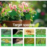 58 Pack Flying Insect Traps for Plants – Green Sticky Traps for Fungus Gnats, Flies & Flying Bugs, Indoor Outdoor Flying Bug Catcher for Pots, Garden & Kitchen, Non-Toxic, Odorless, Kid & Pet Safe