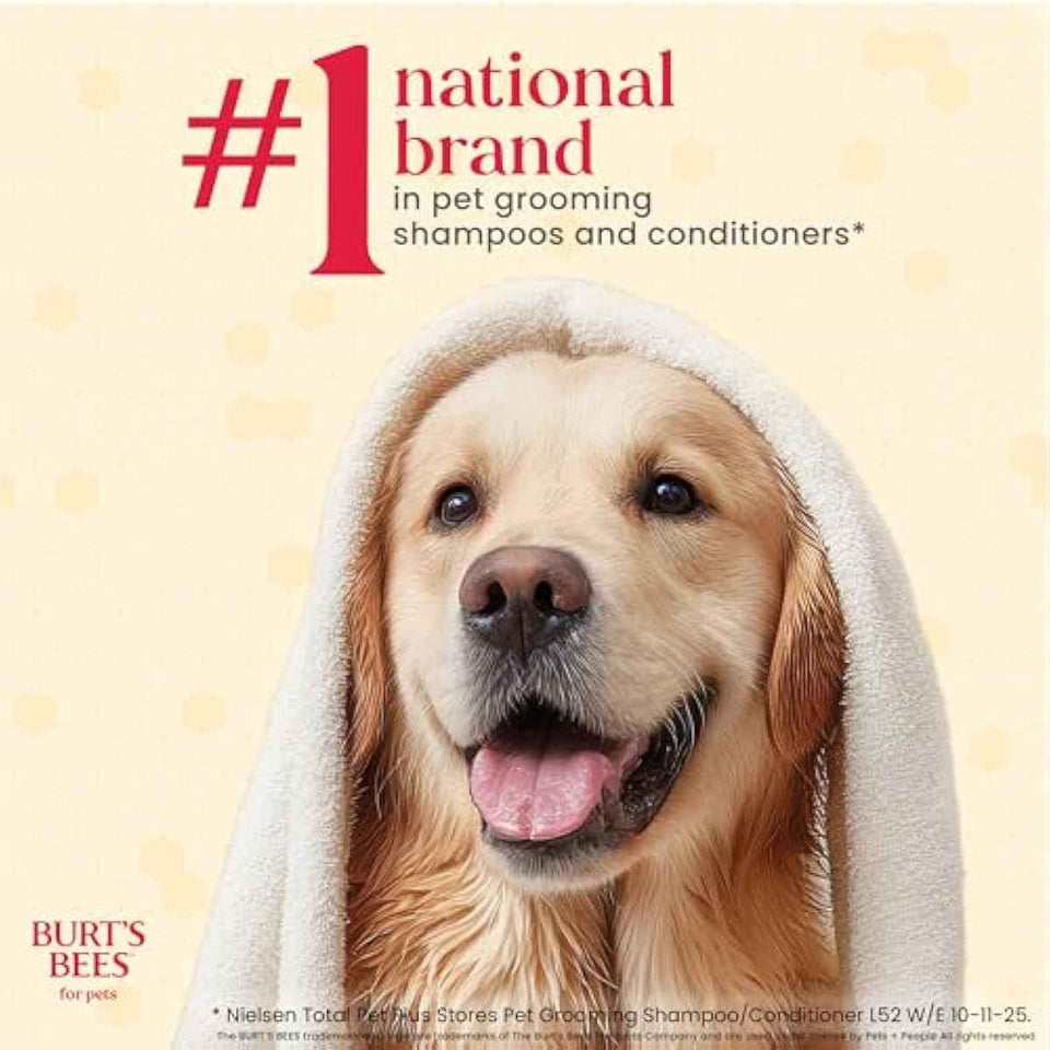 Burt’s Bees for Pets Itch Shampoo with Manuka Honey and Chamomile for Dogs, Itch Relief for Dogs - Naturally Derived Ingredients, 16 Fl Oz
