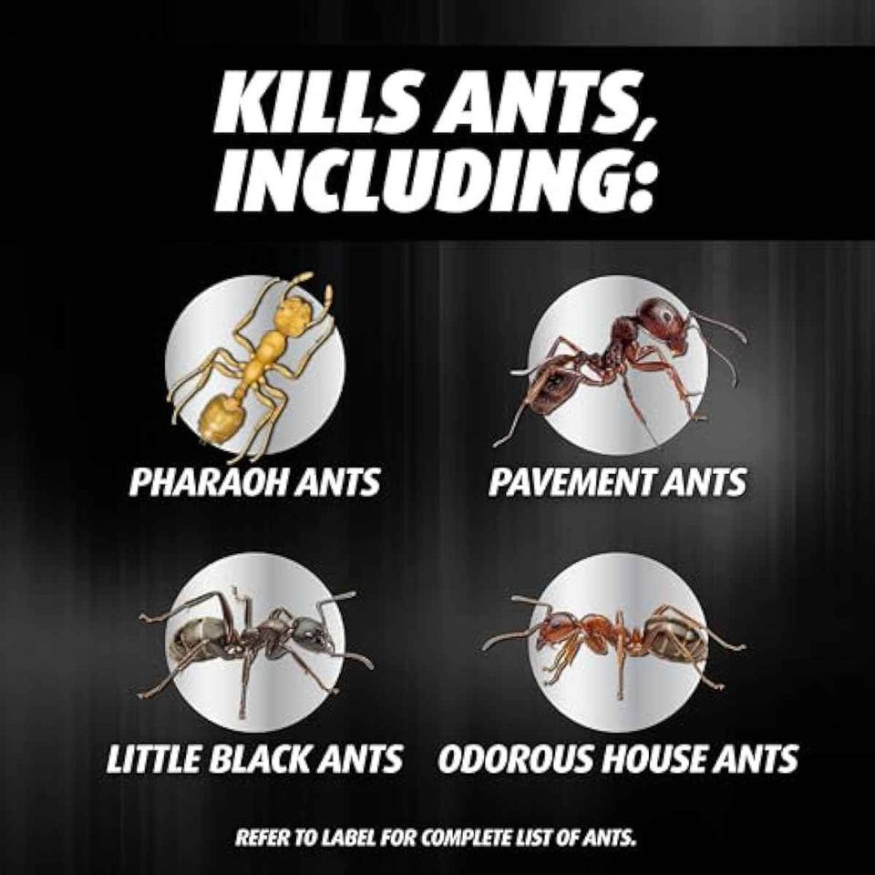 ortho orthene ant killer ant bait, 12 stations, kills queen and colony, indoors