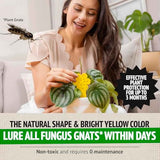 Super Ninja Fungus Gnat Traps, 30 Pack, Yellow Sticky Traps for Indoor House Plants, Non-Toxic and Nature-Friendly