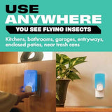 STEM Insect Trap - Indoor Fruit Fly & Gnat Pest Control for House, Home and Kitchen, Attracts & Traps Flying Bugs, Soft Blue Light - Includes 1 Plug-in Device & 3 Cartridges
