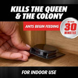 ortho orthene ant killer ant bait, 12 stations, kills queen and colony, indoors
