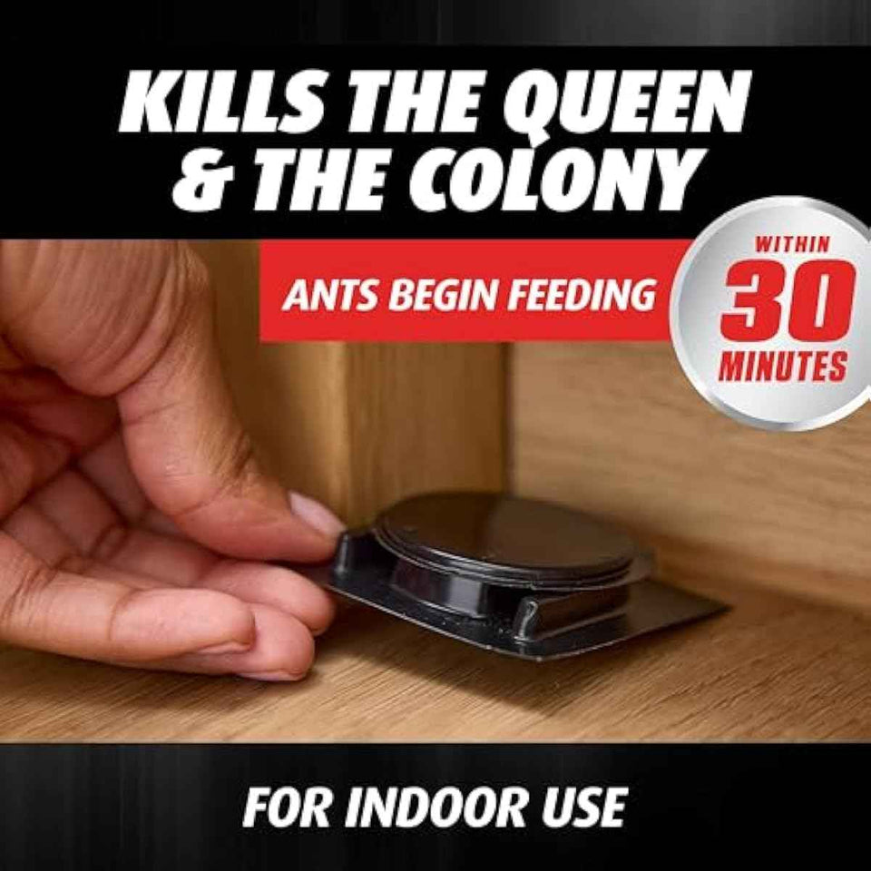 Ortho Orthene Ant Killer Ant Bait, Indoor Ant Killer, Kills The Queen and The Colony, 12 Stations