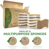 Natural Compostable Cellulose Coconut Walnut Kitchen Sponges 12 Pack Gentle Eco Friendly Daily Cleaning