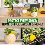 Super Ninja Fungus Gnat Traps - 30 Pack, Highly Effective Gnat Traps for House Indoor, Yellow Sticky Trap for Plants, Non-Toxic & Nature-Friendly, Up to 3 Months