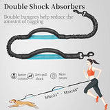 iYoShop Hands Free Dog Leash with Zipper Pouch, Dual Padded Handles and Durable Bungee for Walking, Jogging and Running Your Dog (Large, 25-120 lbs, Black)