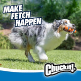 Chuckit! Interactive Dog Toy Ultra Fetch Stick - 12 Inch Outdoor Dog Toy for All Breed Sizes