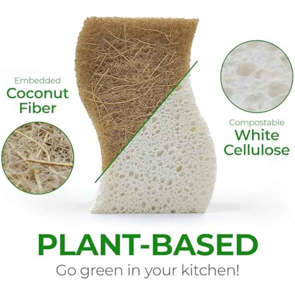 Natural Compostable Cellulose Coconut Walnut Kitchen Sponges 12 Pack Gentle Eco Friendly Daily Cleaning