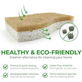 Natural Compostable Cellulose Coconut Walnut Kitchen Sponges 12 Pack Gentle Eco Friendly Daily Cleaning