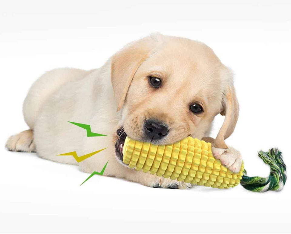 Carllg dog chew toys for aggressive chewers, durable squeaky interactive dog toys for small medium large breeds