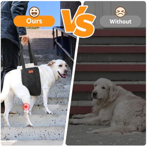 Adjustable dog lift harness for large dogs hind leg support with soft lift and rehab features
