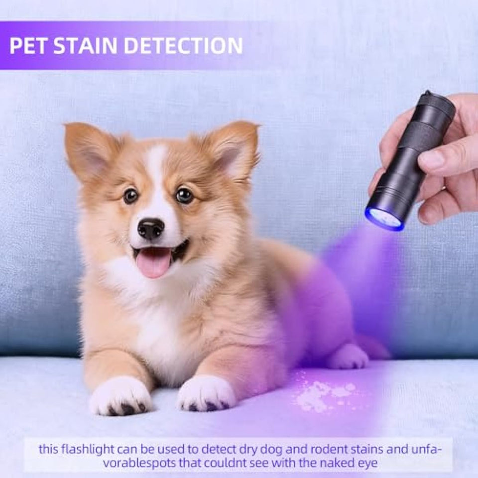 Blacklight Flashlight UV 12-LED Small Portable Mini for Hidden Stain Detection and Pet Urine
