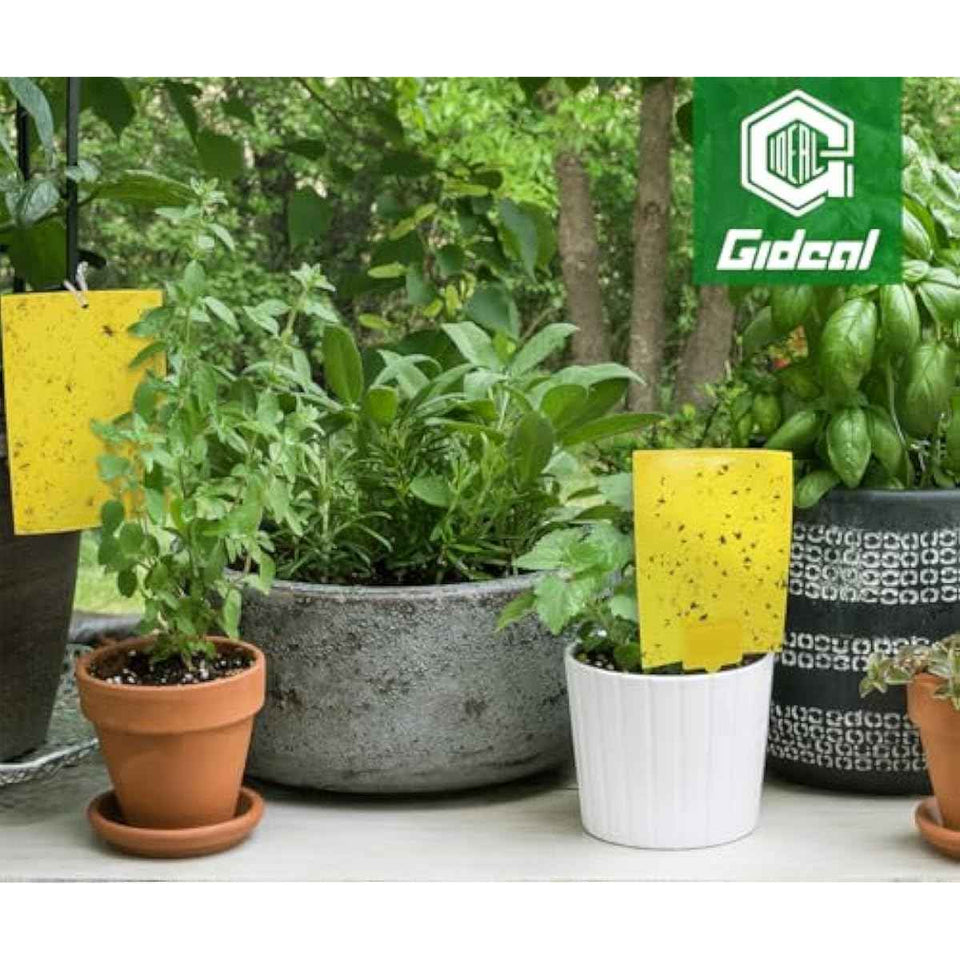 Gideal 20-Pack Dual-Sided Yellow Sticky Traps for Flying Plant Insect Such as Fungus Gnats, Whiteflies, Aphids, Leafminers,Thrips - (6x8 Inches, Included 20pcs Twist Ties)