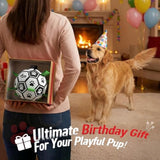 Qdan dog toys 6 inch world cup dog soccer ball with straps for small medium pet outdoor play