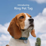 Easy-to-use pet tag with qr code and real-time scan alerts, shareable pet profile, no subscription or fees