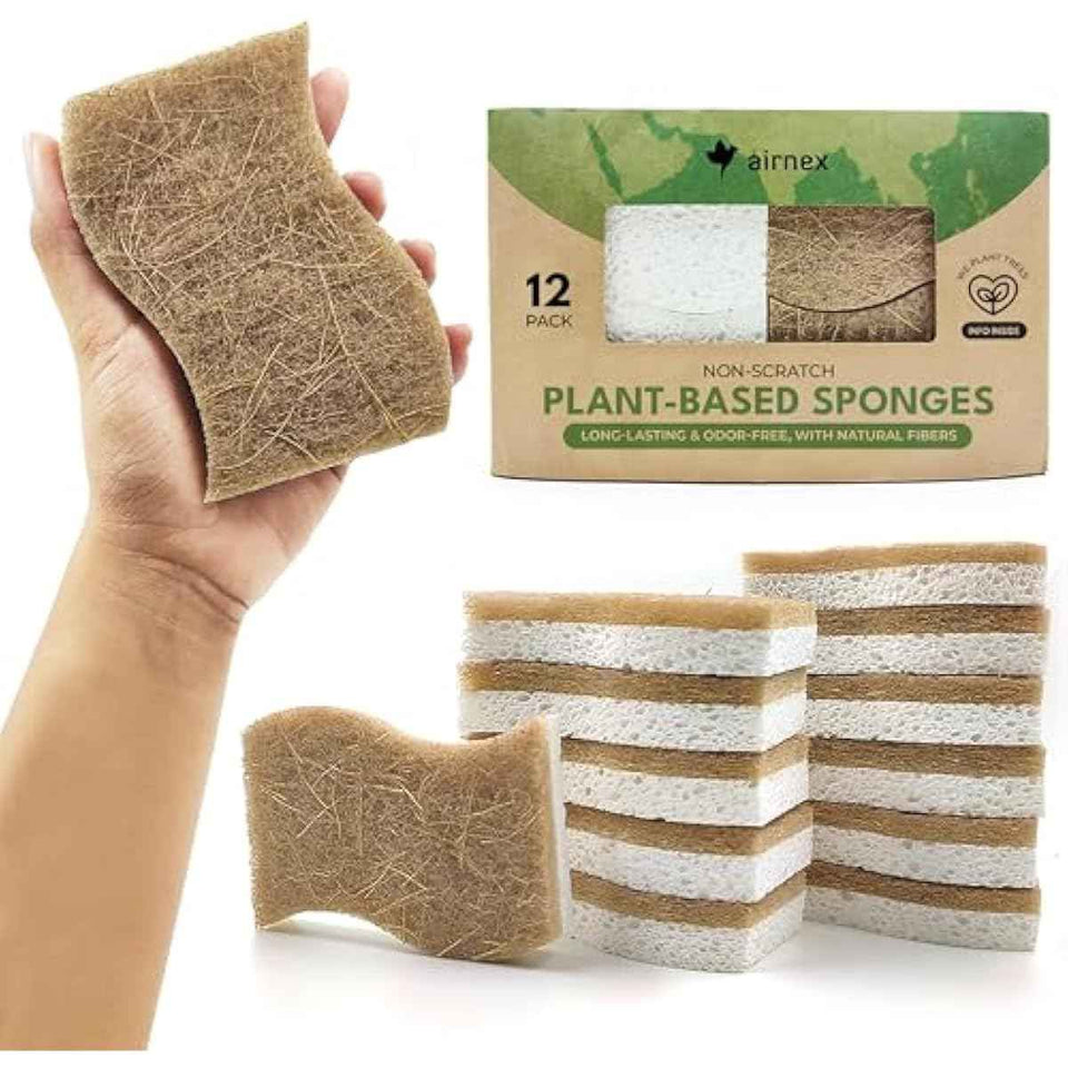 Natural Compostable Cellulose Coconut Walnut Kitchen Sponges 12 Pack Gentle Eco Friendly Daily Cleaning