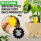 Super Ninja Fungus Gnat Traps, 30 Pack, Yellow Sticky Traps for Indoor House Plants, Non-Toxic and Nature-Friendly