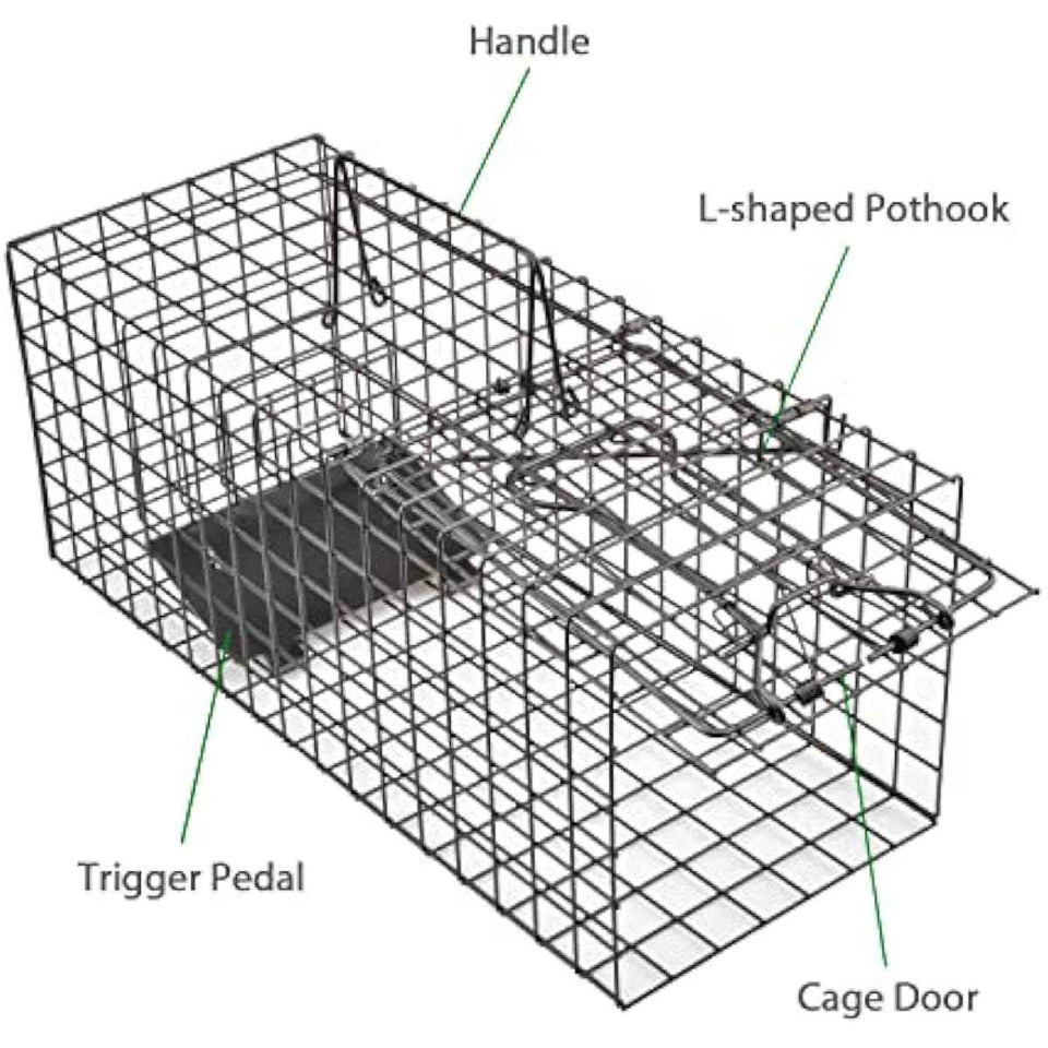 Live Squirrel Trap Heavy Duty Humane Animal Cage Trap (No Assembly Required)