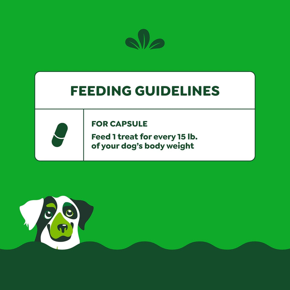 Greenies Pill Pockets for Large Dogs, Chicken Flavor, 15.8 oz Pouch, 60 Treats