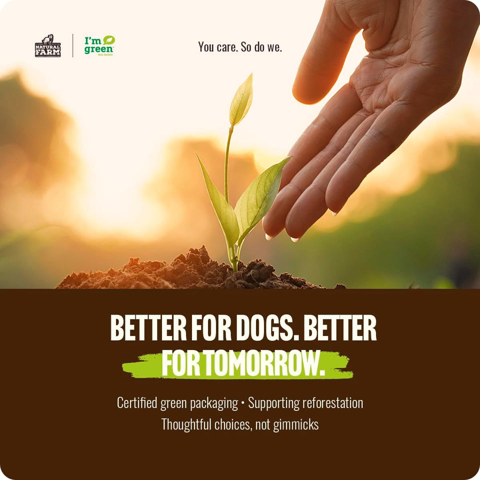 Natural Farm Odor-Free Bully Sticks 6 Inch 25 Count 100% Beef Pizzle Chews Grass-Fed Non-GMO Grain-Free