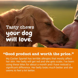Zesty Paws Dog Allergy Relief Chews, Dog Probiotics for Itchy Skin and Ears, Lamb, 90ct