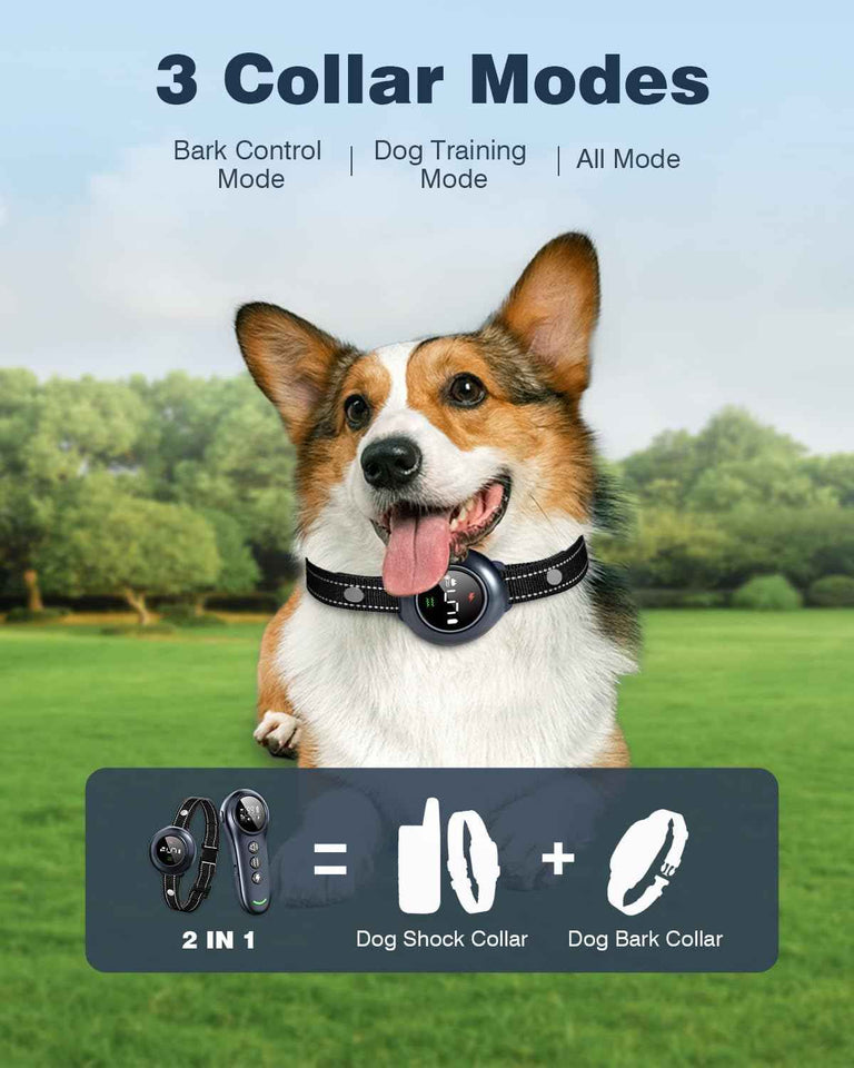 2-in-1 Dog Training Collar with 5 Sensitivity & 3300FT Remote for All Breeds Waterproof E-Collar