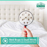 chomp travel size bed bug repellent spray, natural, tsa approved, 3.4 fl oz, peppermint scent