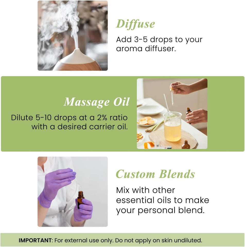 Handcraft Blends Peppermint Essential Oil – Huge 4 Fl Oz – 100% Pure and Natural – Premium Grade Essential Oil for Diffuser and Aromatherapy, Skin, Massage, Candle and Soap Making Fragrance