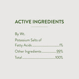 Garden Safe 32 oz. insecticidal soap for indoor and outdoor pest control of aphids and more