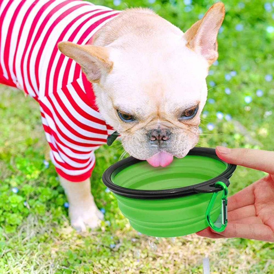 dog collapsible bowls 2 pack small blue+green for cats dogs portable pet feeding watering travel