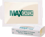 Catchmaster Max-Catch Mouse & Insect Glue Trap 72pk, Mouse Traps Indoor for Home, Sticky Pest Control Adhesive Tray for Catching Bugs, Non Toxic Bulk Pre-Baited Glue Boards