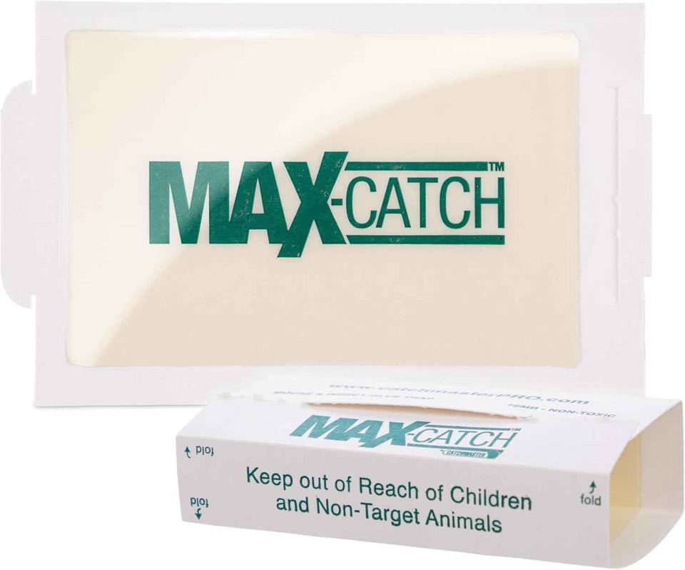 Catchmaster max-catch Mouse Glue Traps 36PK, Indoor Pest Control Adhesive Trays