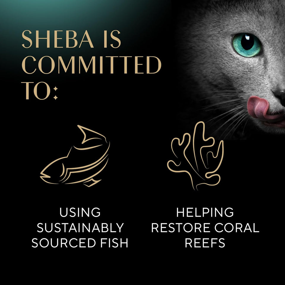 Sheba Perfect Portions Wet Cat Food Pate with Sustainable Salmon, Signature Seafood Entree, and Tender White Fish and Tuna Entree Variety Pack, 2.6 oz. Twin Pack Trays (24 Count, 48 Servings)