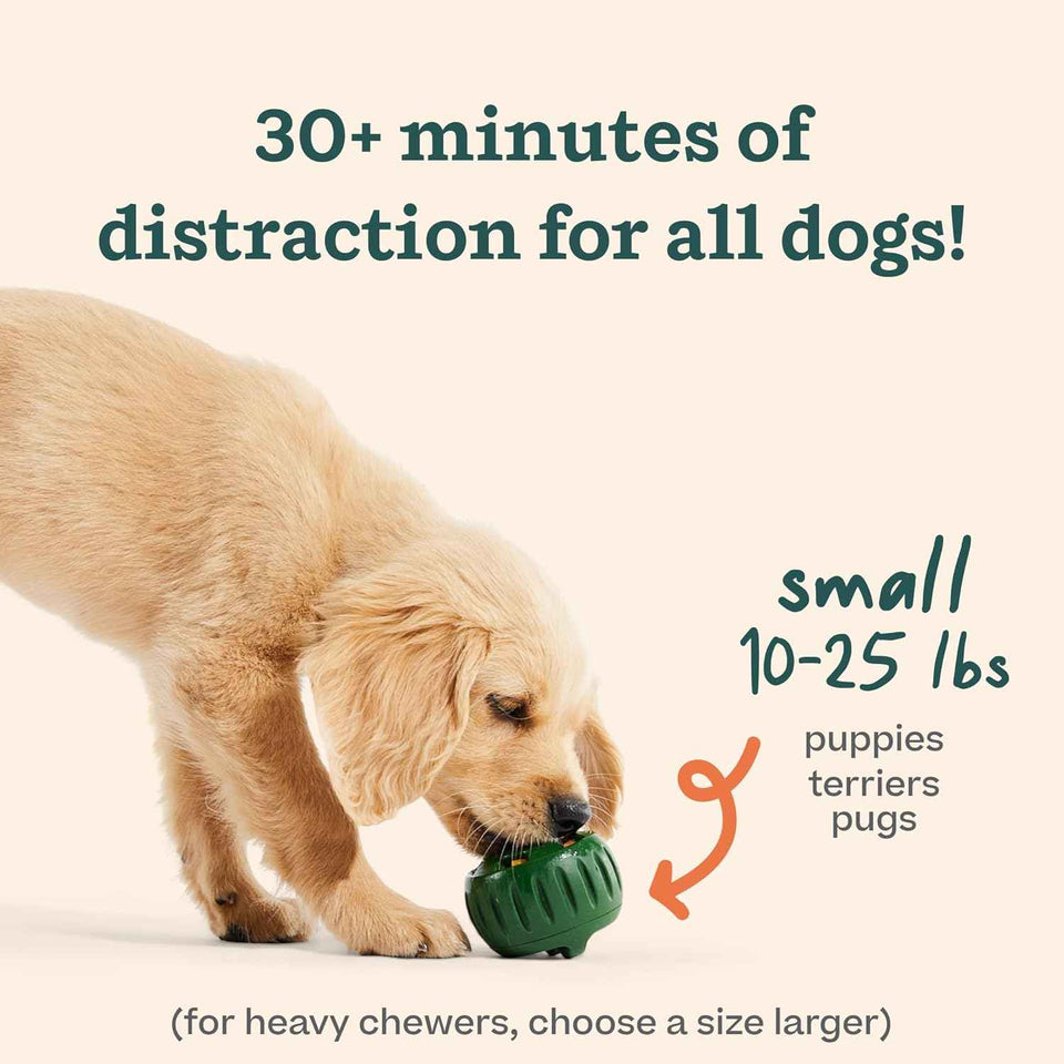 WOOF Starter Pack - Interactive Dog Toys for Small Pups 10-25 lbs - Chicken-Flavored Healthy Treats - Silicone Dog Treat Molds