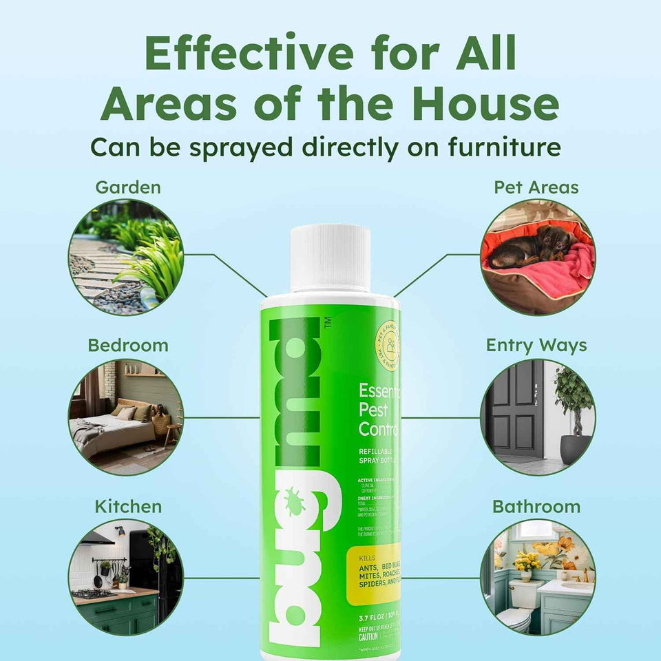 bugmd ant killer and bug spray concentrate - eco-friendly pest control for indoor cockroaches and roaches