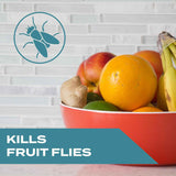 STEM Kills Fruit Fly Trap with Botanical Extracts, 5.4 fl oz, Pack of 1 - Effective Indoor Fly Insecticide