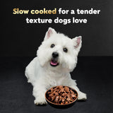 cesar filets in gravy wet dog food variety pack, 3.5 oz easy peel trays, usa made