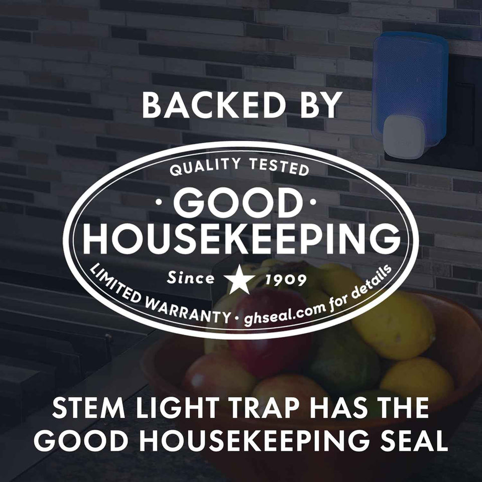 STEM Light Trap: Indoor Fruit Fly Trap, Effective Insect Control for Home, Attracts and Traps Flying Insects, Emits Soft Blue Light, Starter Kit with 2 Plug-In Devices and 2 Cartridges