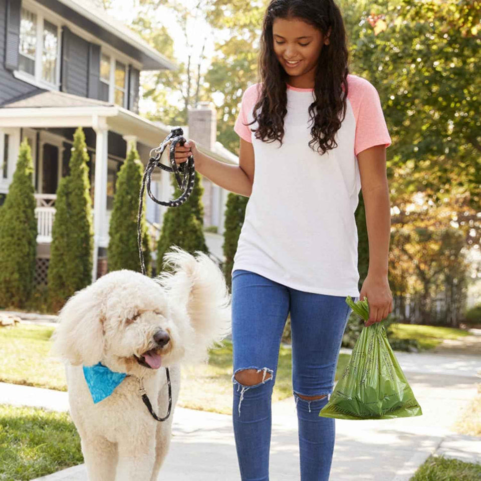 Lavender scented dog poop bags, 240 count, 13" x 9", leakproof, strong, and sturdy