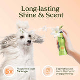 pawfume dog perfume spray, 1-pack, hypoallergenic, alcohol-free, detangling formula, moisturizing pet cologne