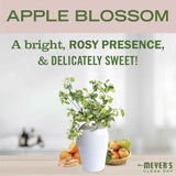Mrs. Meyer's Apple Blossom Vinegar Gel Cleaning Spray, 16 Fl Oz, No-Rinse Formula for Bathroom Use