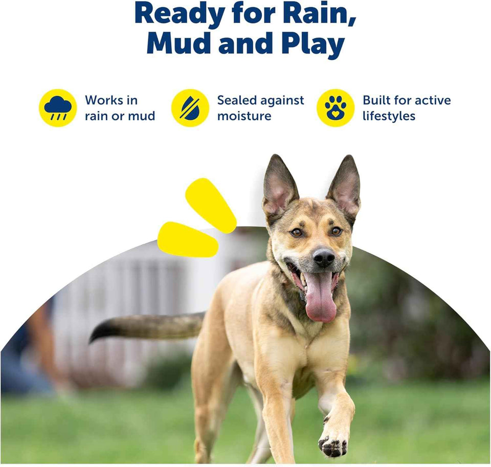 PetSafe Dog Collar Batteries (2 Pack) Dog Collar Battery Waterproof Lithium Metal Product, Rfa-67d-11