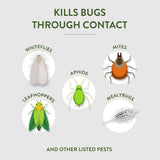 Garden Safe 32 oz. insecticidal soap for indoor and outdoor pest control of aphids and more