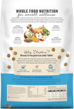 honest kitchen whole food clusters grain free turkey dry dog food 20 lb bag
